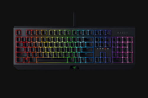 RAZER BlackWidow Mechanische Gaming Tastatur Chroma Wired (FRA Layout - AZERTY)