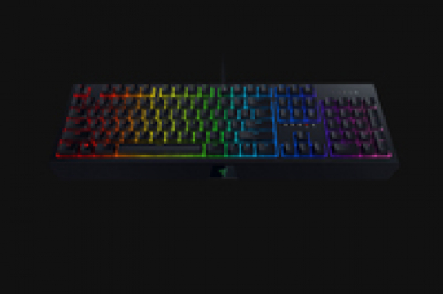 RAZER BlackWidow Mechanische Gaming Tastatur Chroma Wired (FRA Layout - AZERTY)